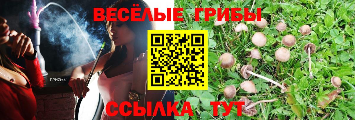 Псилоцибиновые грибы прущие грибы Жуковский