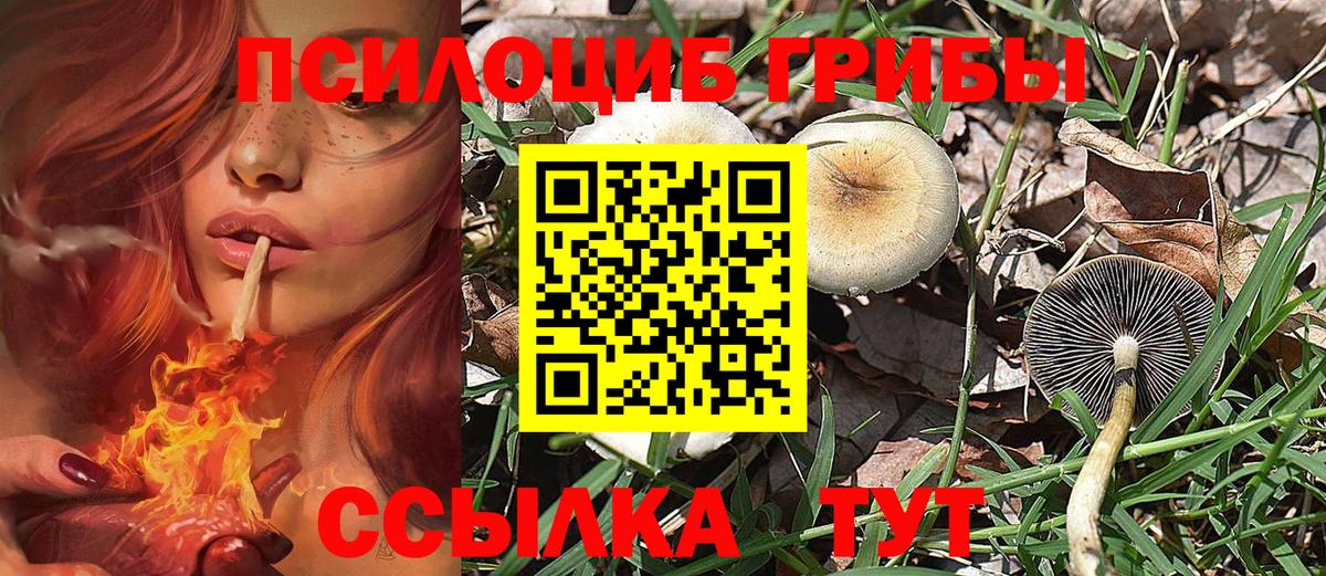 Жуковский  Галлюциногенные грибы MAGIC MUSHROOMS  Вход с VPN 